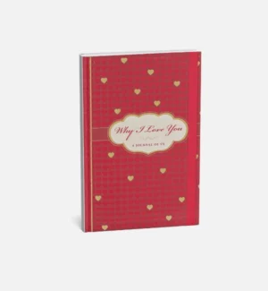 Red journal with hearts saying why I love you
